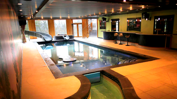luxury custom pool slide in home